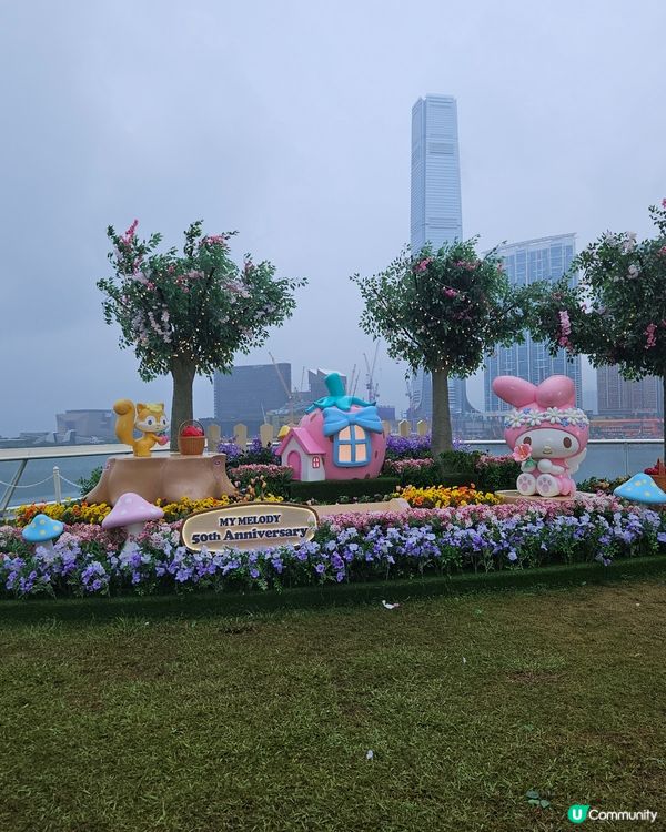 Kiki Lala My Melody 50th