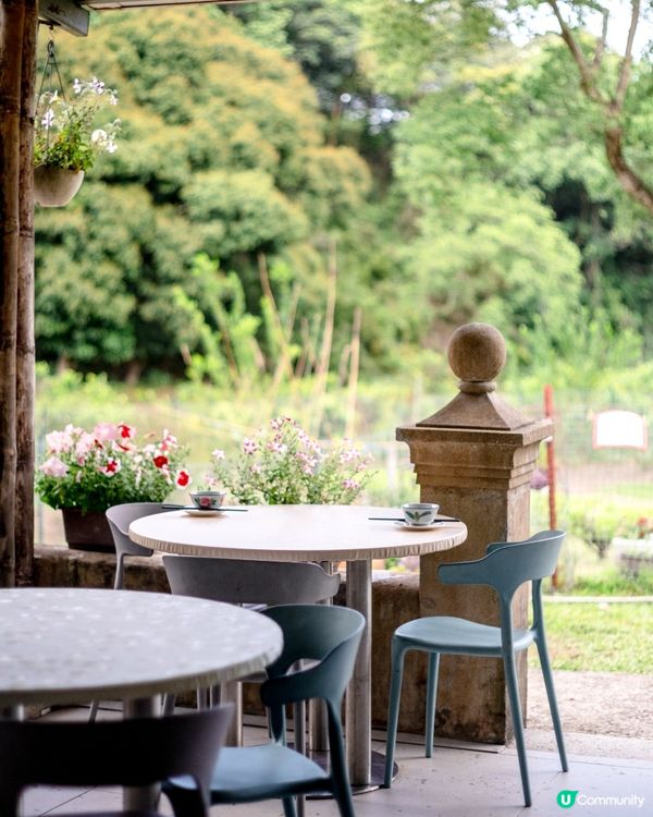 世外桃源客家菜！