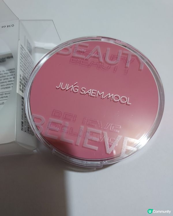 JUNGSAEMMOOL Artist Cushion 