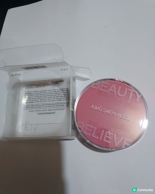 JUNGSAEMMOOL Artist Cushion 