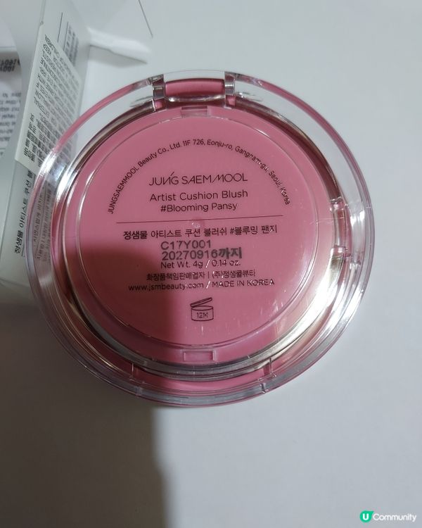 JUNGSAEMMOOL Artist Cushion 