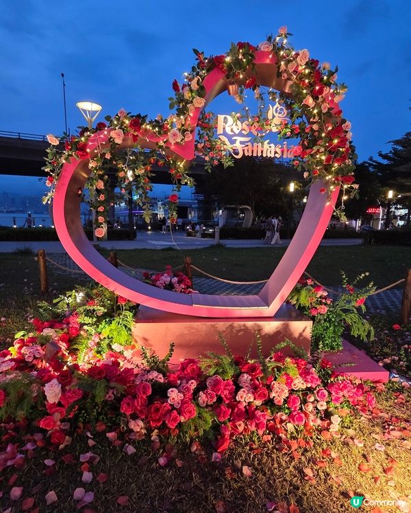 盛夏玫瑰奇緣園藝