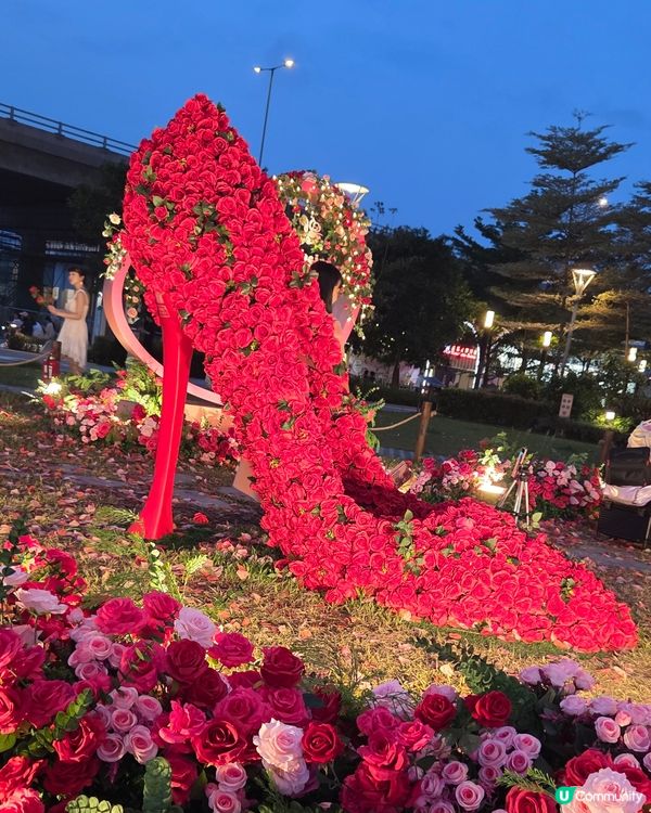 盛夏玫瑰奇緣園藝