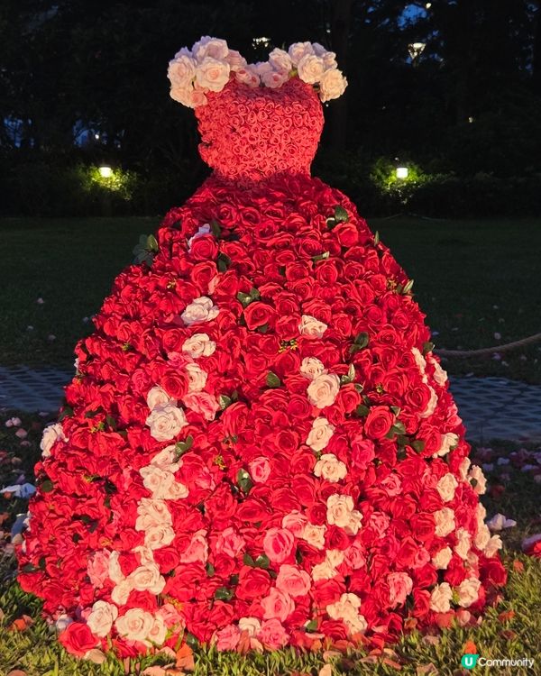 盛夏玫瑰奇緣園藝