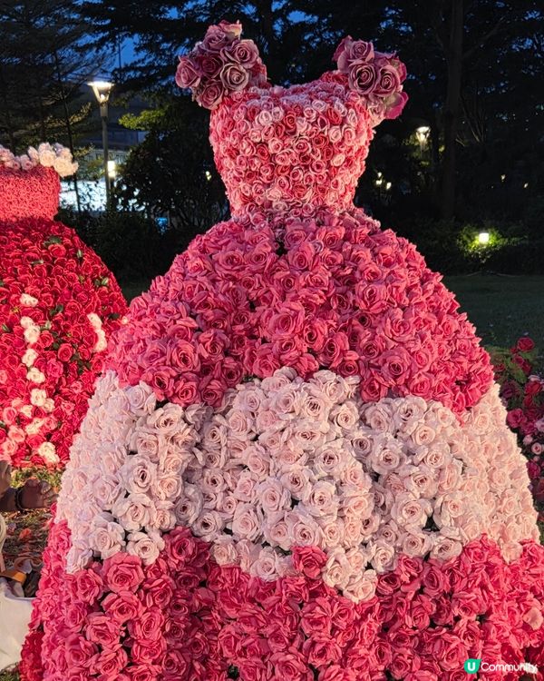 盛夏玫瑰奇緣園藝