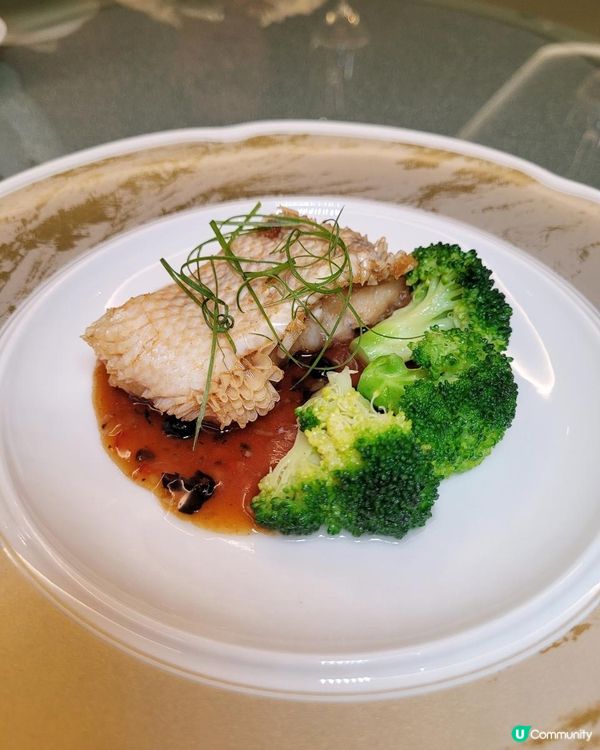 夏季時令套餐 @ 合和軒 ( 灣仔合和酒店 )