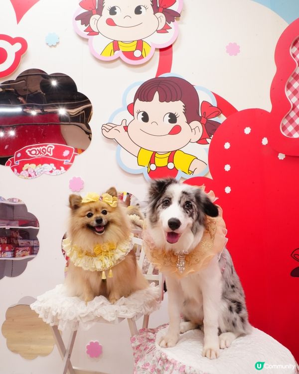 不二家牛奶妹糖果屋主題限定店🍭