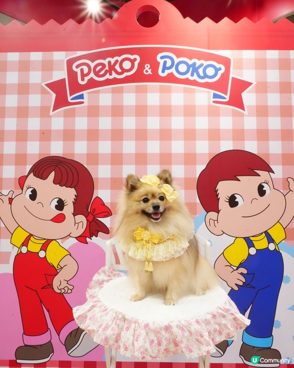 不二家牛奶妹糖果屋主題限定店🍭