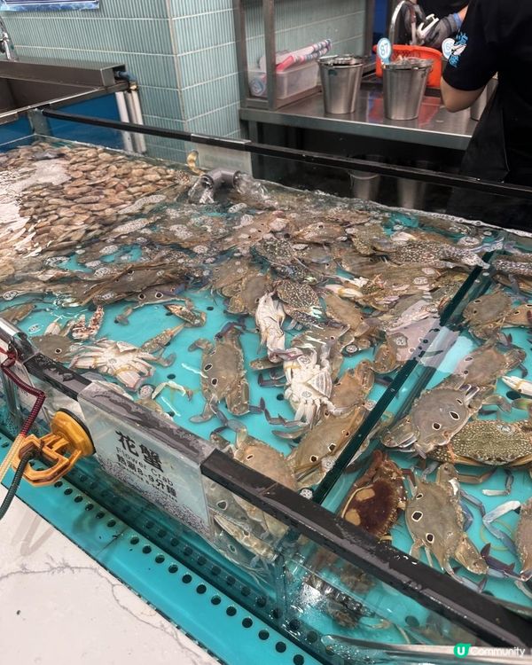 香港｜荃灣｜千海水產