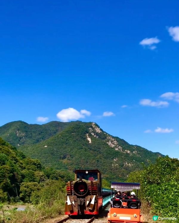 鐵道單車超正！靚景隧道玩足1粒鐘！🚴‍♀️💨
