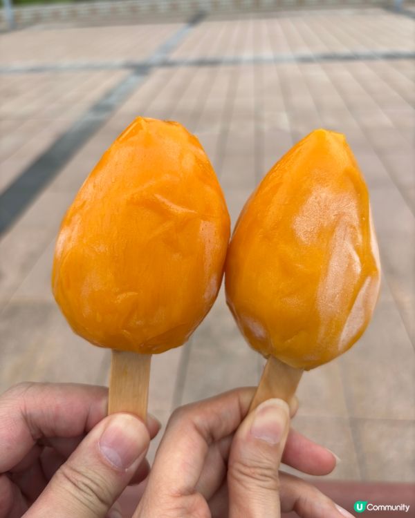 $8大大支急凍芒果🥭 🤩😋🤫