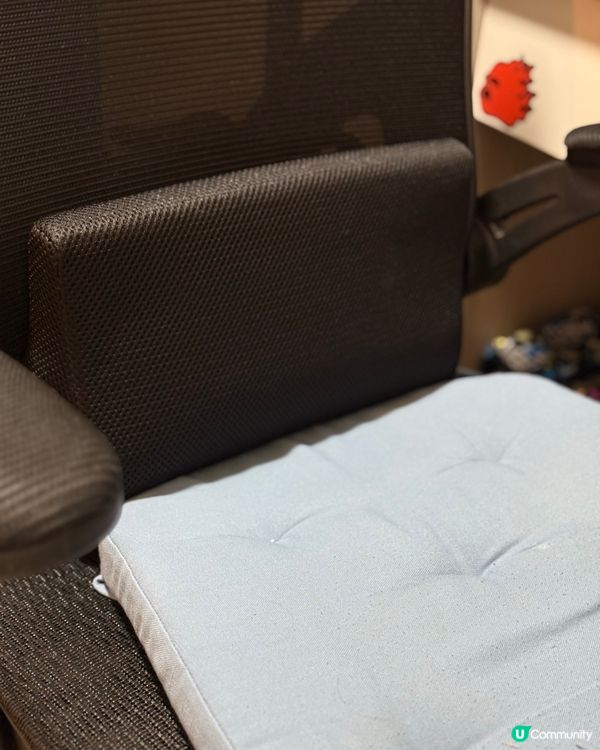 豆哥開學神物推介！📚✨ 8折優惠倒數！