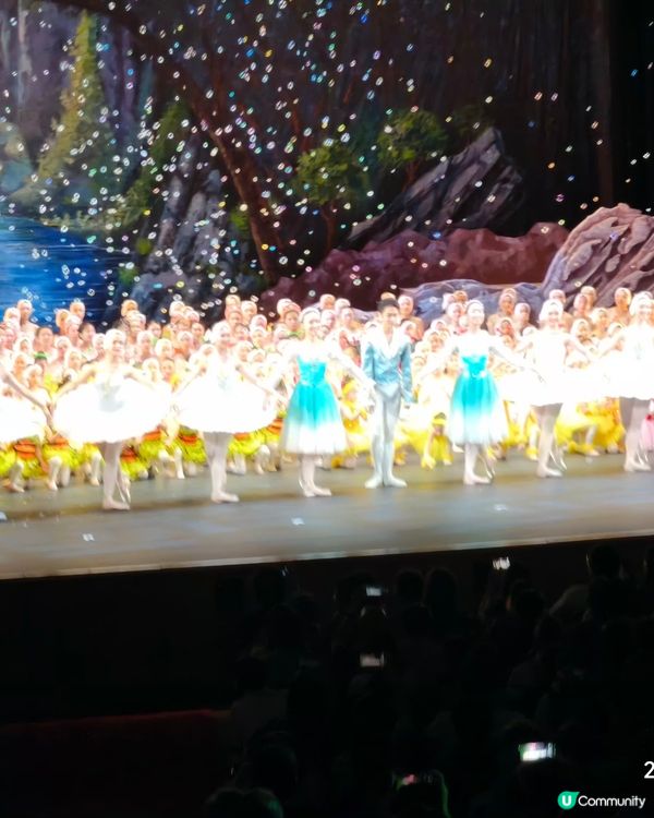 毛妹香港芭蕾舞學校嘅《天鵝湖》周年演出