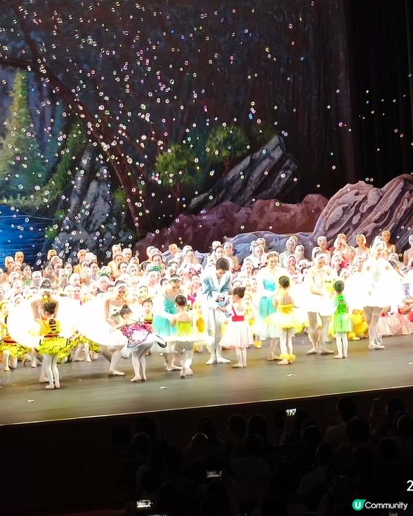 毛妹香港芭蕾舞學校嘅《天鵝湖》周年演出