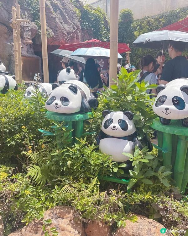 海洋公園一日遊｜ 熊貓寶寶超可愛🐼