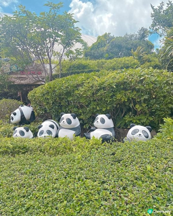 海洋公園一日遊｜ 熊貓寶寶超可愛🐼