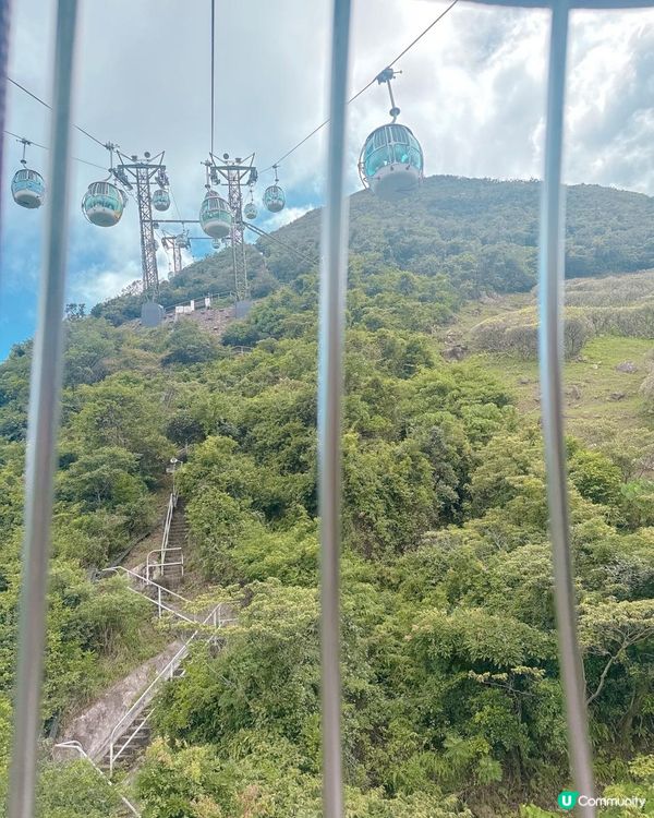 海洋公園一日遊｜ 熊貓寶寶超可愛🐼