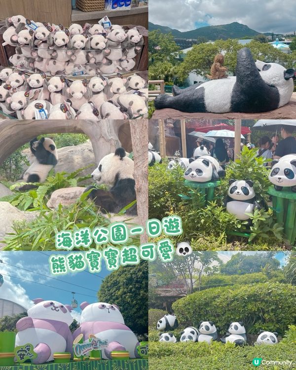 海洋公園一日遊｜ 熊貓寶寶超可愛🐼