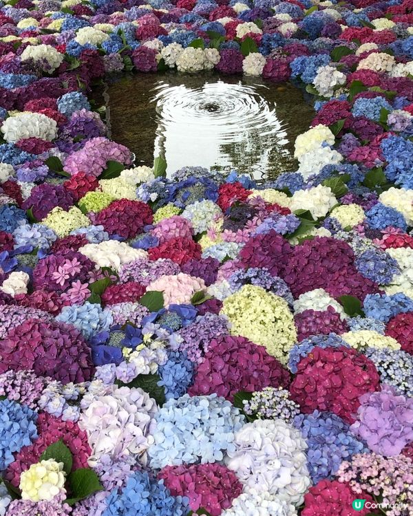 環遊日本🇯🇵福岡市區近郊三日兩夜路線攻略🐈