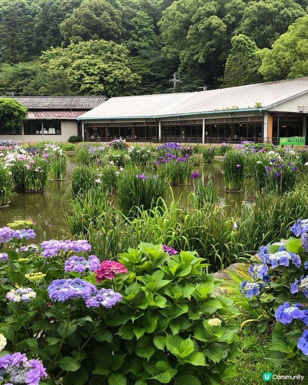 環遊日本🇯🇵福岡市區近郊三日兩夜路線攻略🐈