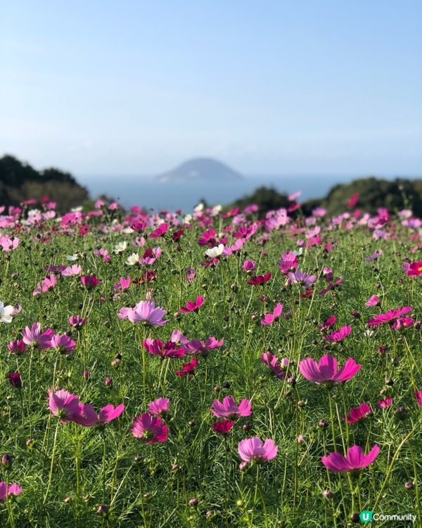 環遊日本🇯🇵福岡市區近郊三日兩夜路線攻略🐈