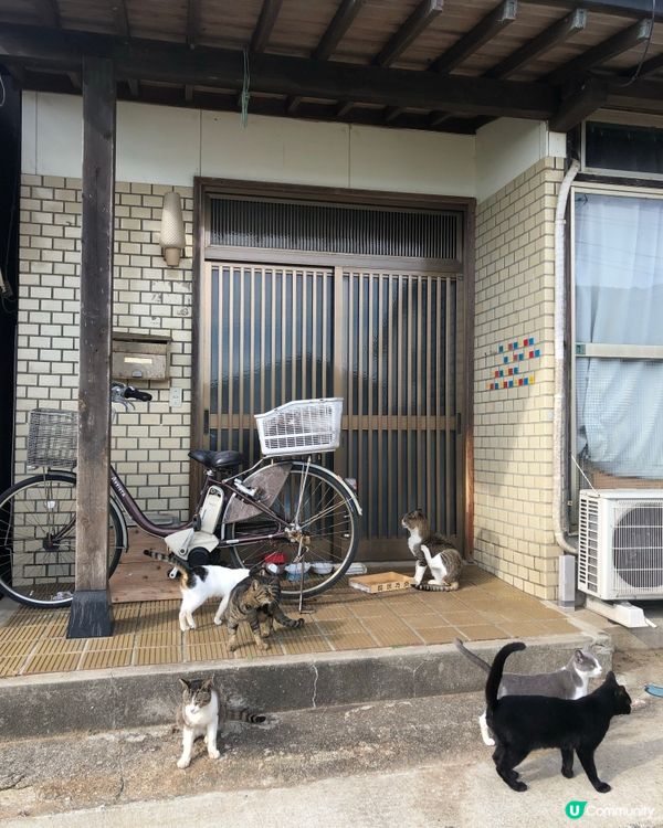 環遊日本🇯🇵福岡市區近郊三日兩夜路線攻略🐈