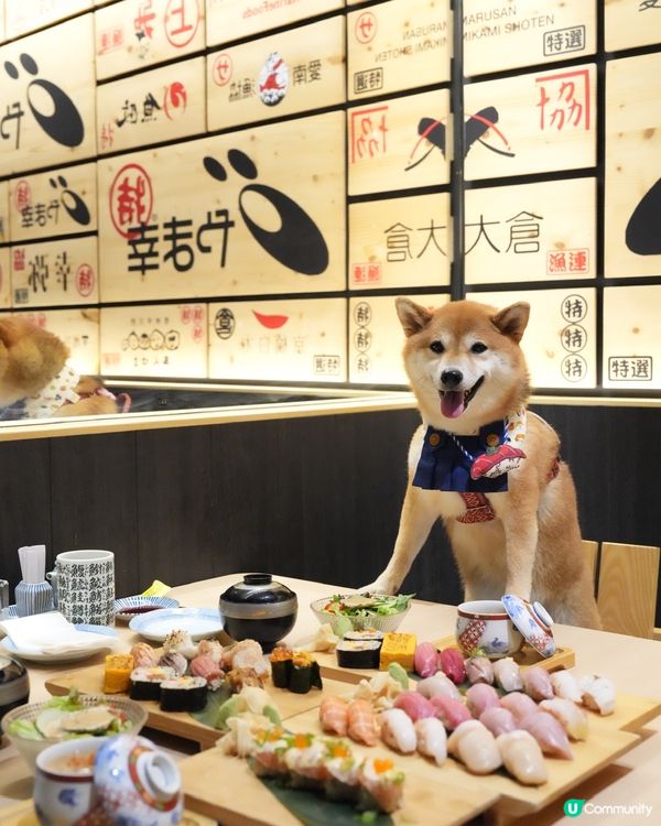 帶狗狗一齊食壽司🍣