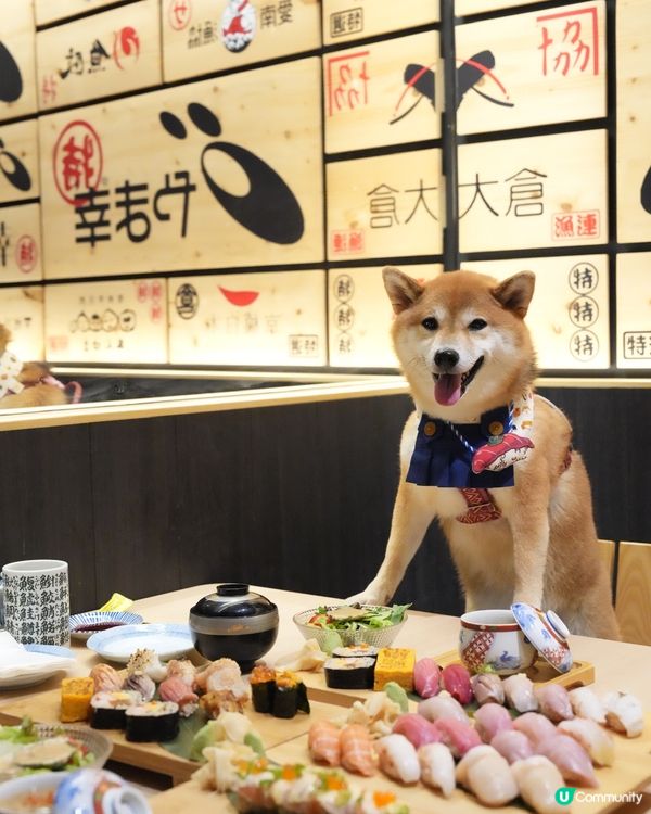 帶狗狗一齊食壽司🍣