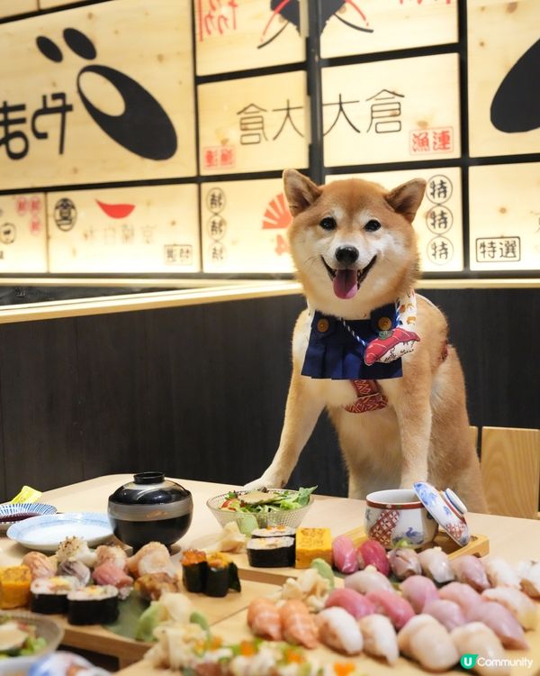 帶狗狗一齊食壽司🍣