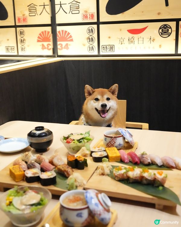 帶狗狗一齊食壽司🍣