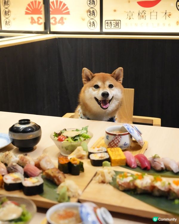 帶狗狗一齊食壽司🍣