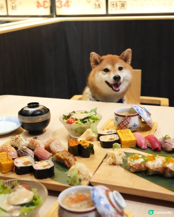 帶狗狗一齊食壽司🍣