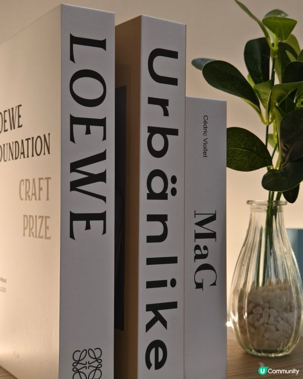 酸奶燉牛尾蛋包飯😋！中環抵食推介！