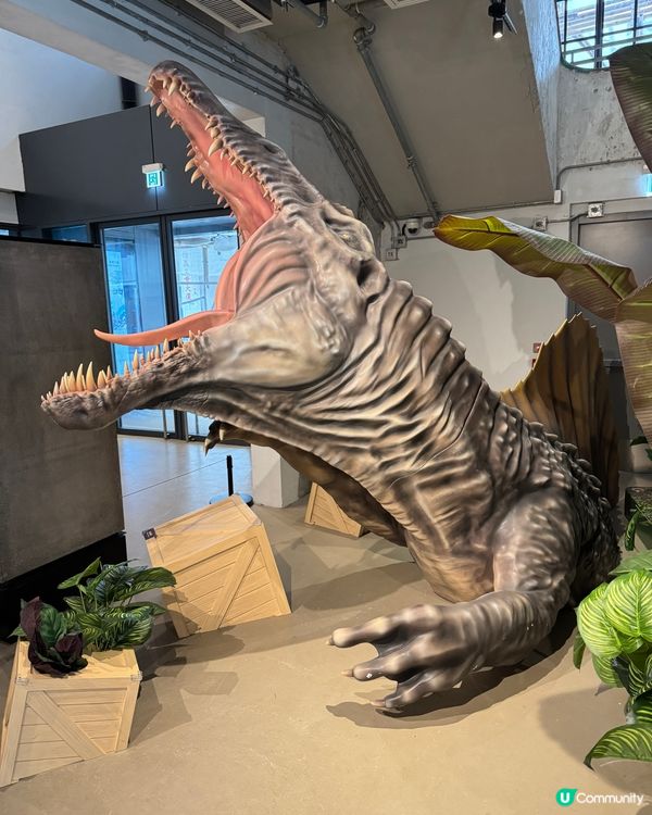 開心果節+恐龍探險！暑假玩轉南豐紗廠🥳