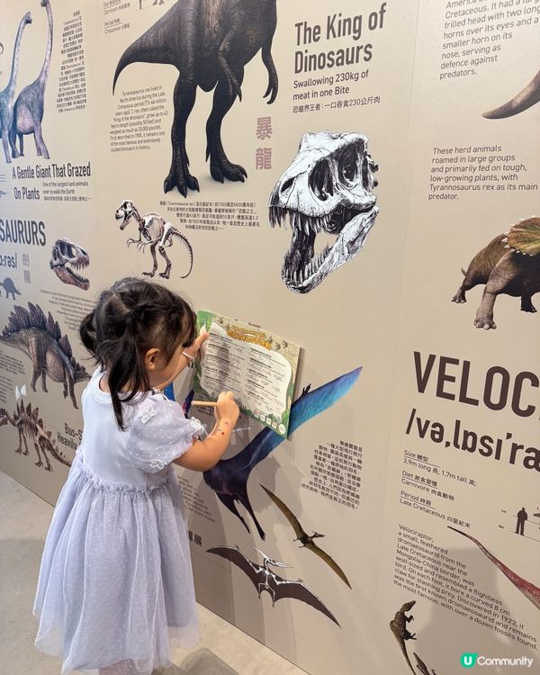 開心果節+恐龍探險！暑假玩轉南豐紗廠🥳