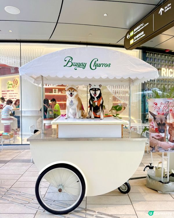 / 帶毛孩食雪糕 \