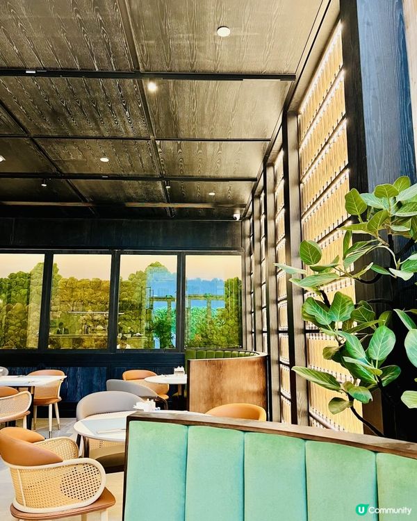 「Origin·源」晨光早餐｜深圳灣希爾頓逸林酒店｜新開