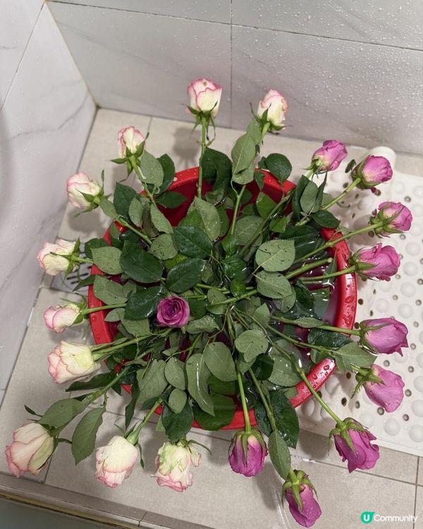 💐網購鮮花💐初體驗