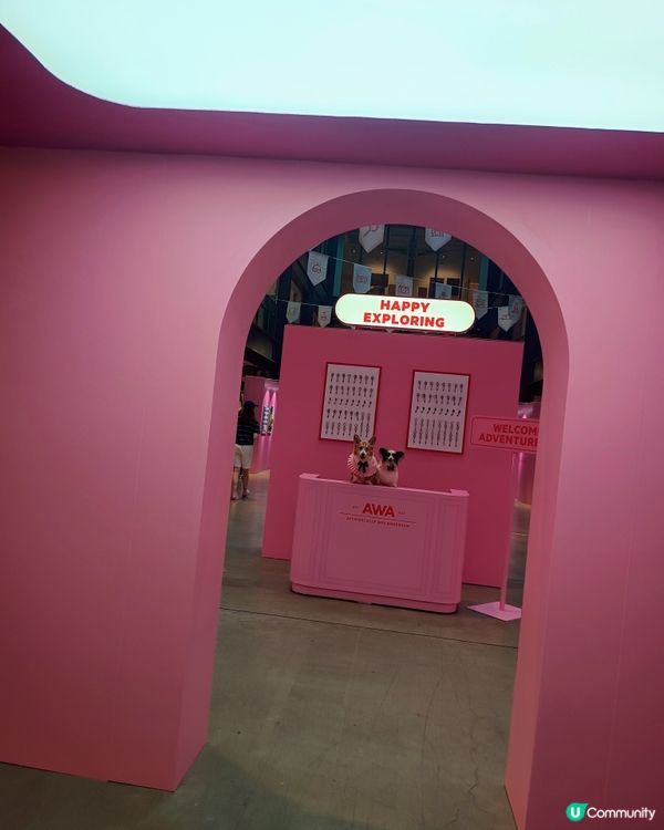 暑假帶毛孩去邊好？南豐紗廠打卡！ AWA世界美學展覽