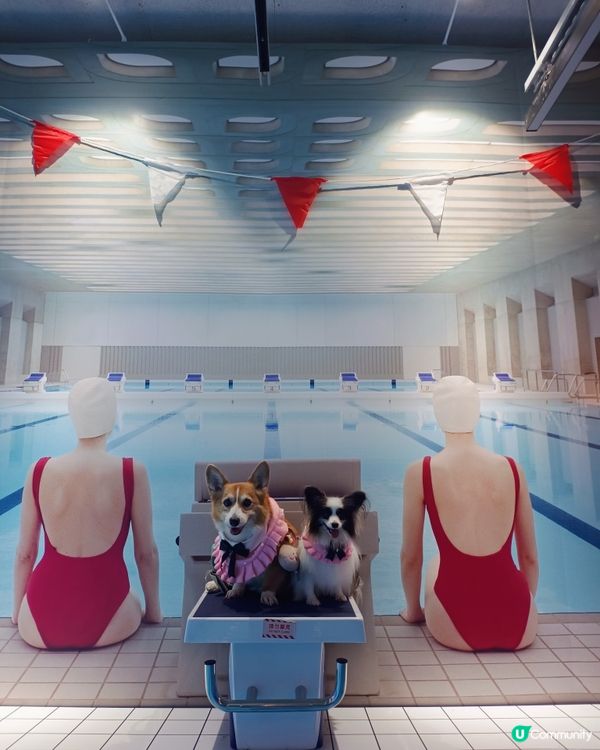 暑假帶毛孩去邊好？南豐紗廠打卡！ AWA世界美學展覽