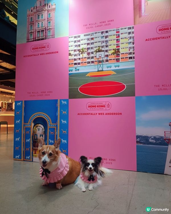 暑假帶毛孩去邊好？南豐紗廠打卡！ AWA世界美學展覽