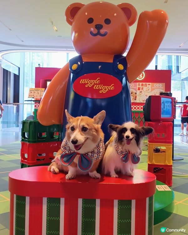 暑假帶毛孩去邊好?Wiggle Wiggle期間限定店