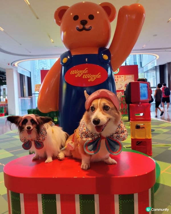 暑假帶毛孩去邊好?Wiggle Wiggle期間限定店
