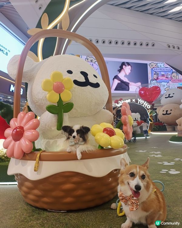 暑假帶毛孩去邊？線條小狗YOHO夏日心友會🐶💖