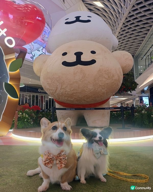 暑假帶毛孩去邊？線條小狗YOHO夏日心友會🐶💖