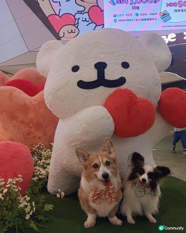 暑假帶毛孩去邊？線條小狗YOHO夏日心友會🐶💖