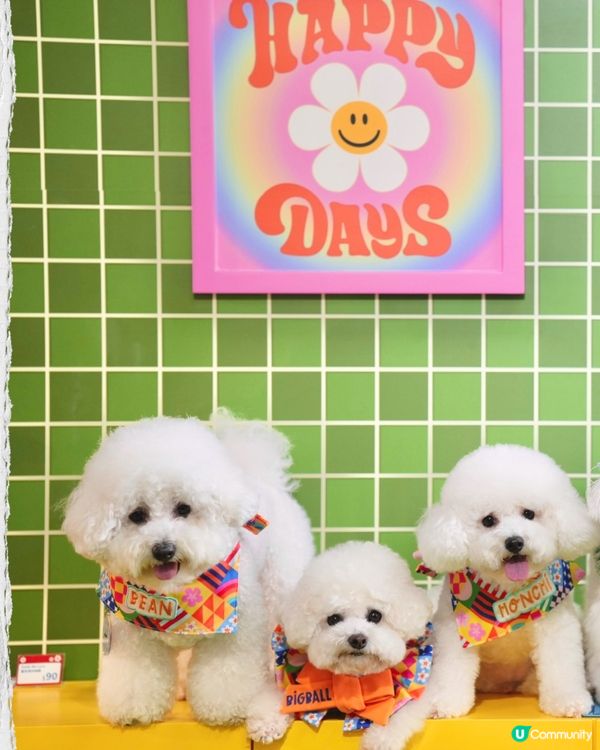 .𝑤𝑖𝑔𝑔𝑙𝑒 𝑤𝑖𝑔𝑔𝑙𝑒 ✿🌈