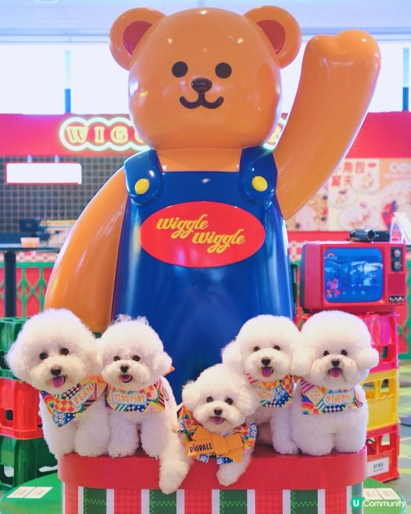 .𝑤𝑖𝑔𝑔𝑙𝑒 𝑤𝑖𝑔𝑔𝑙𝑒 ✿🌈