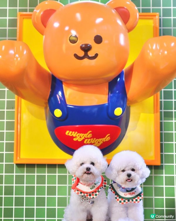 .𝑤𝑖𝑔𝑔𝑙𝑒 𝑤𝑖𝑔𝑔𝑙𝑒 ✿🌈