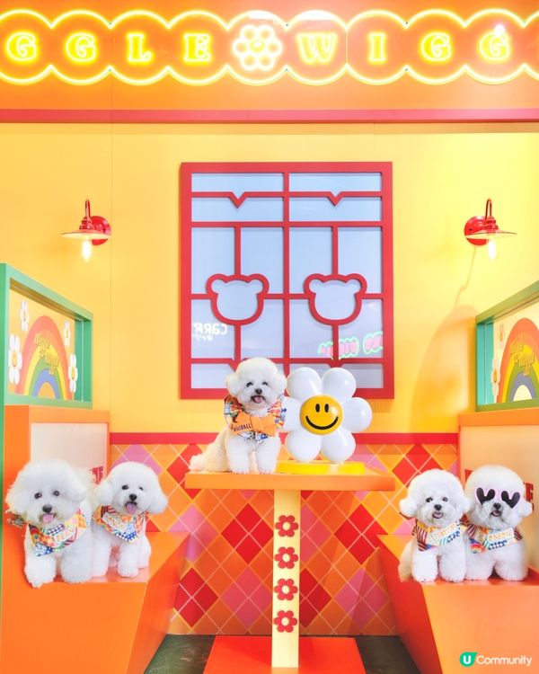 .𝑤𝑖𝑔𝑔𝑙𝑒 𝑤𝑖𝑔𝑔𝑙𝑒 ✿🌈